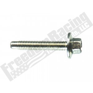 W711062-S437 Ignition Coil Screw